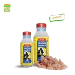 অরিজিনাল দুলাল চন্দ্র ভড়ের তালমিছড়ি